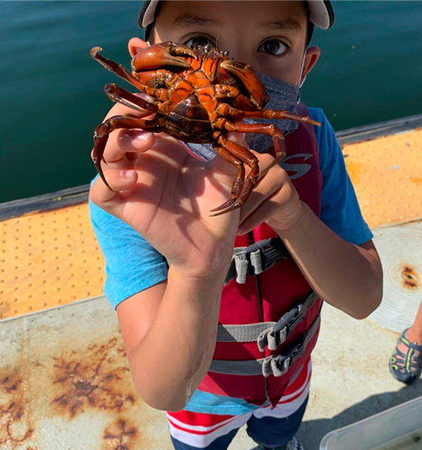 Harbor Explorers